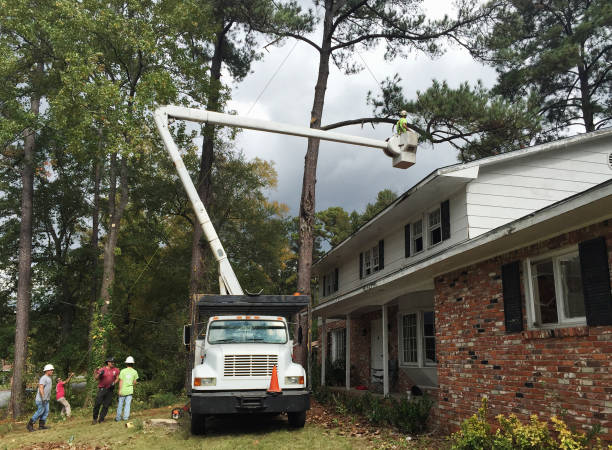 Best Aeration Services  in Cedarhurst, NY